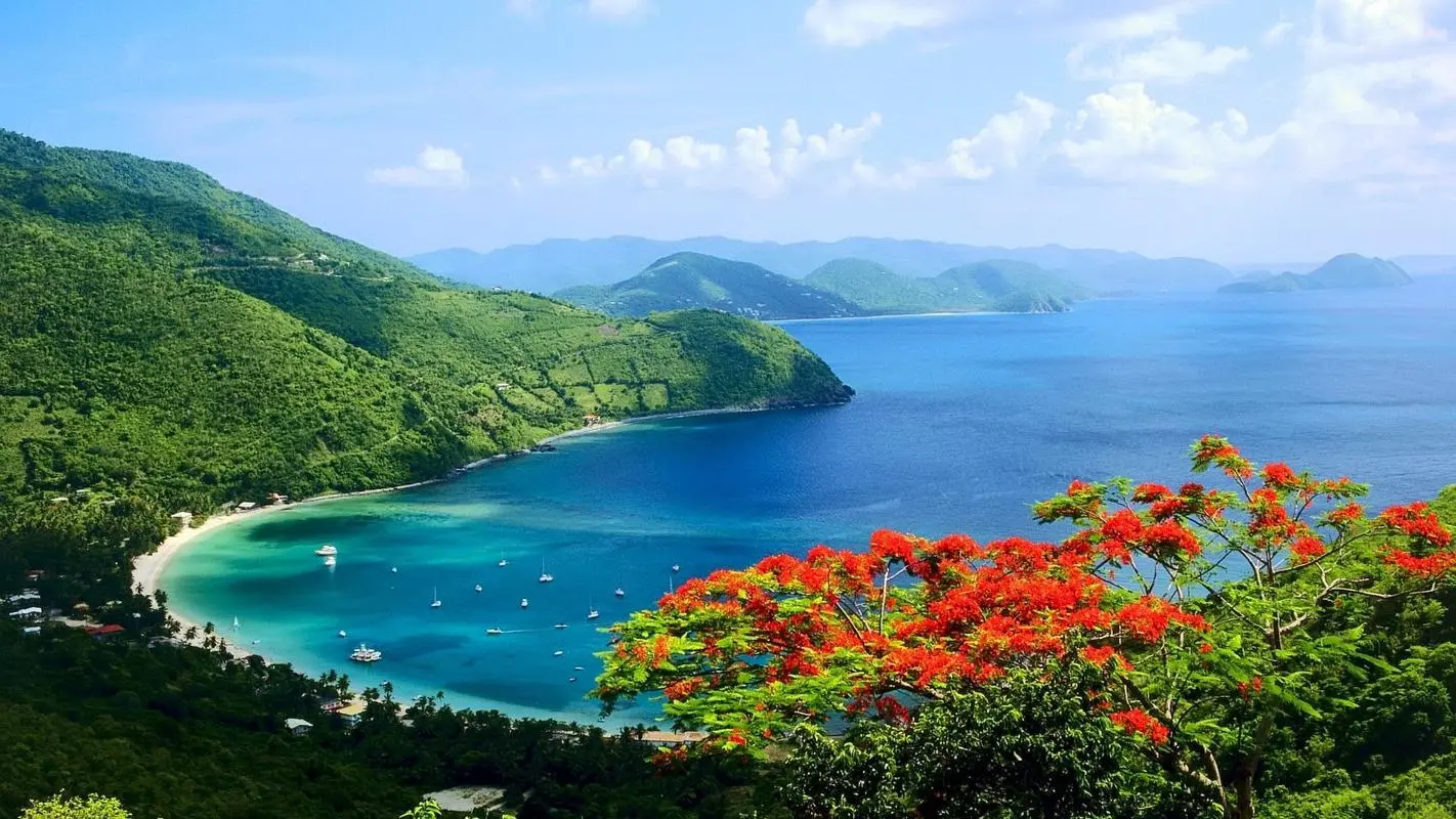 高效高精度高效